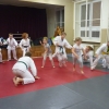 Trening Aikido w Anshin Dojo ��d�