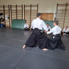 Trening Aikido w Anshin Dojo ��d�