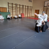 Trening Aikido w Anshin Dojo ��d�