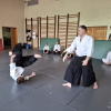 Trening Aikido w Anshin Dojo ��d�